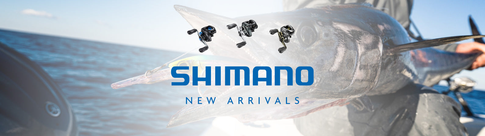 Shimano Shop All