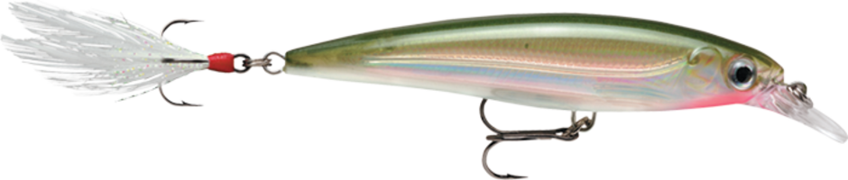 Rapala X-Rap Jerkbait