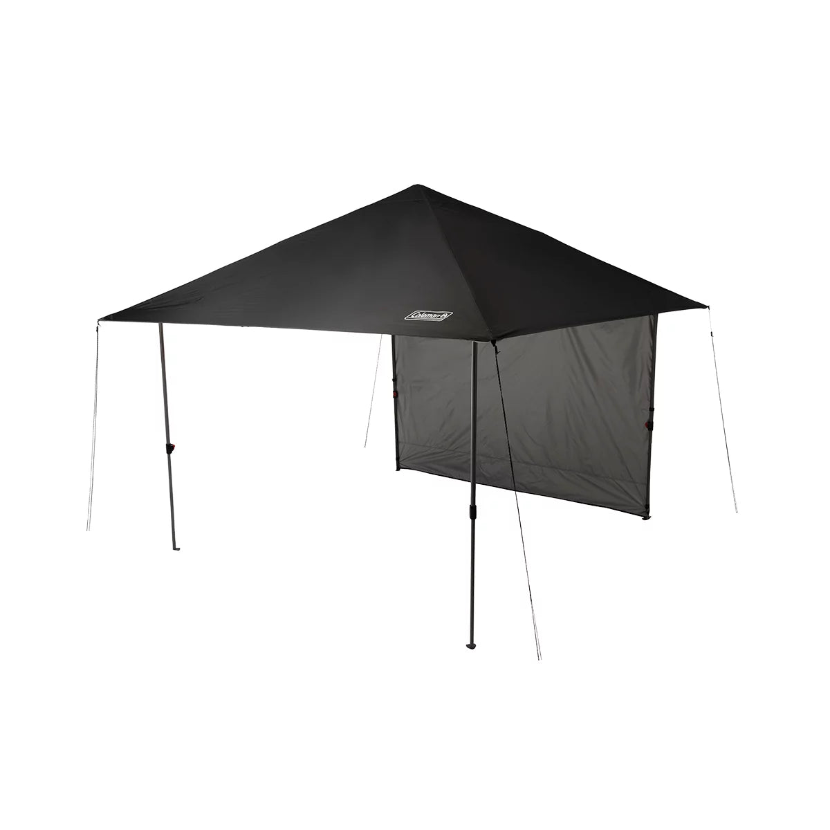 Coleman Oasis Lite 10x10 Canopy