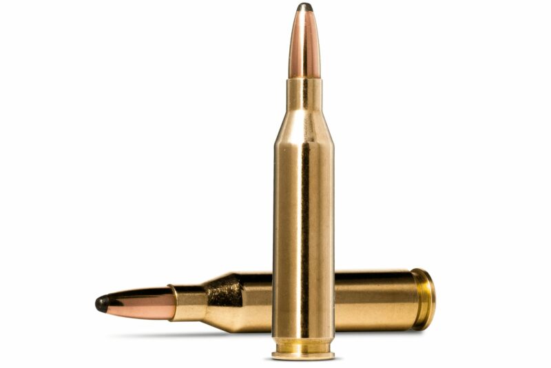 Norma Whitetail .243Win / 100Gr