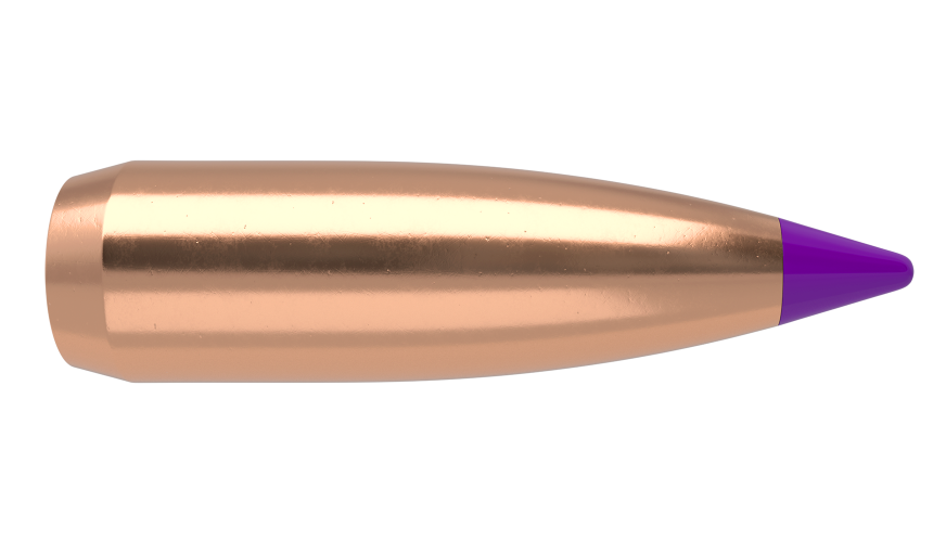 Nosler Ballistic Tip Varmint 6mm / 70Gr
