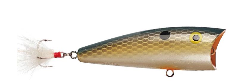 Rebel Pop-R Hard Bait