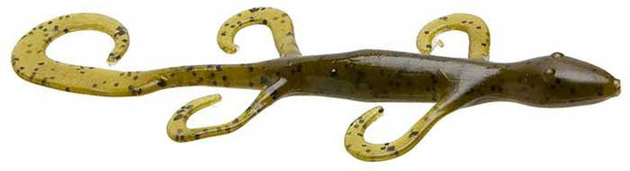 Zoom Lizards