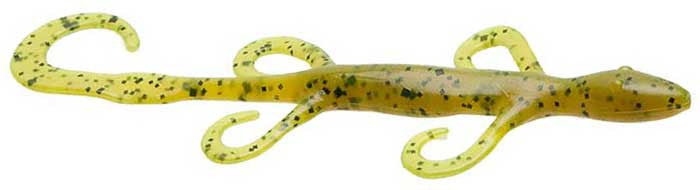 Zoom Lizards