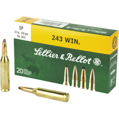 Sellier & Bellot .243 Win 100Gr
