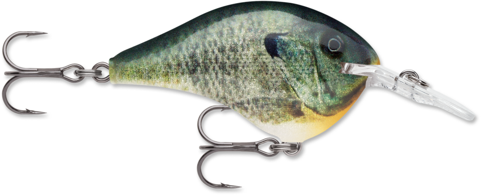 Rapala DT (Dives-To)