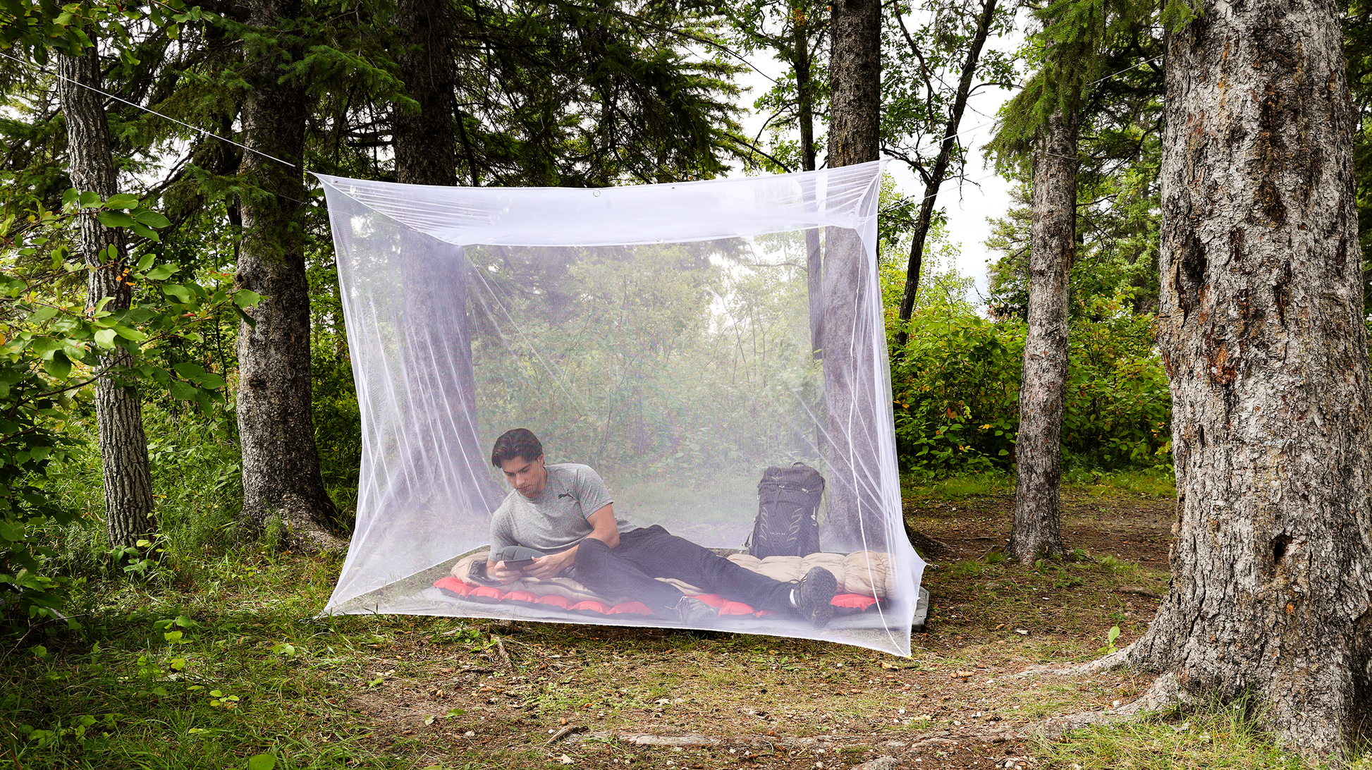 Coghlan's Double Mosquito Net - White