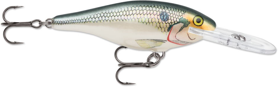 Rapala Rap Shad