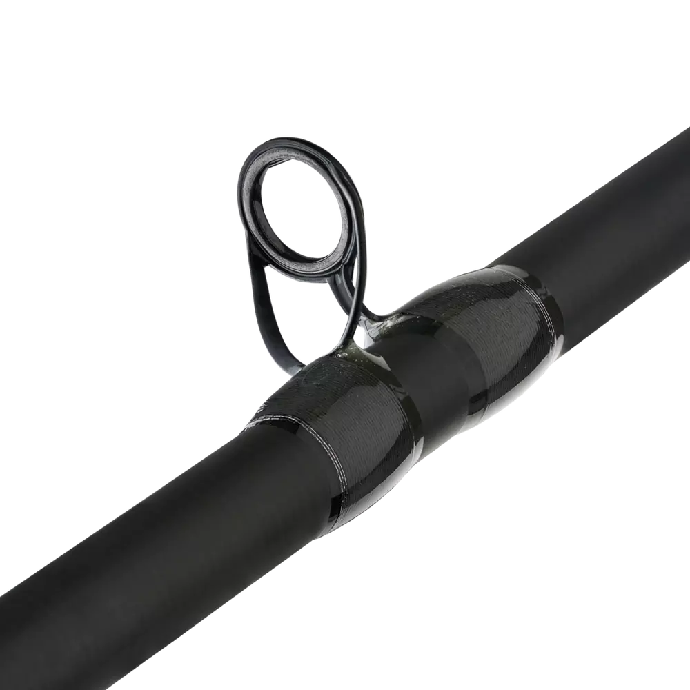 Fenwick Eagle Bass Casting Rod