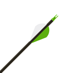 Gold Tip Hunter XT 400 Arrow w/2" Raptor Vanes