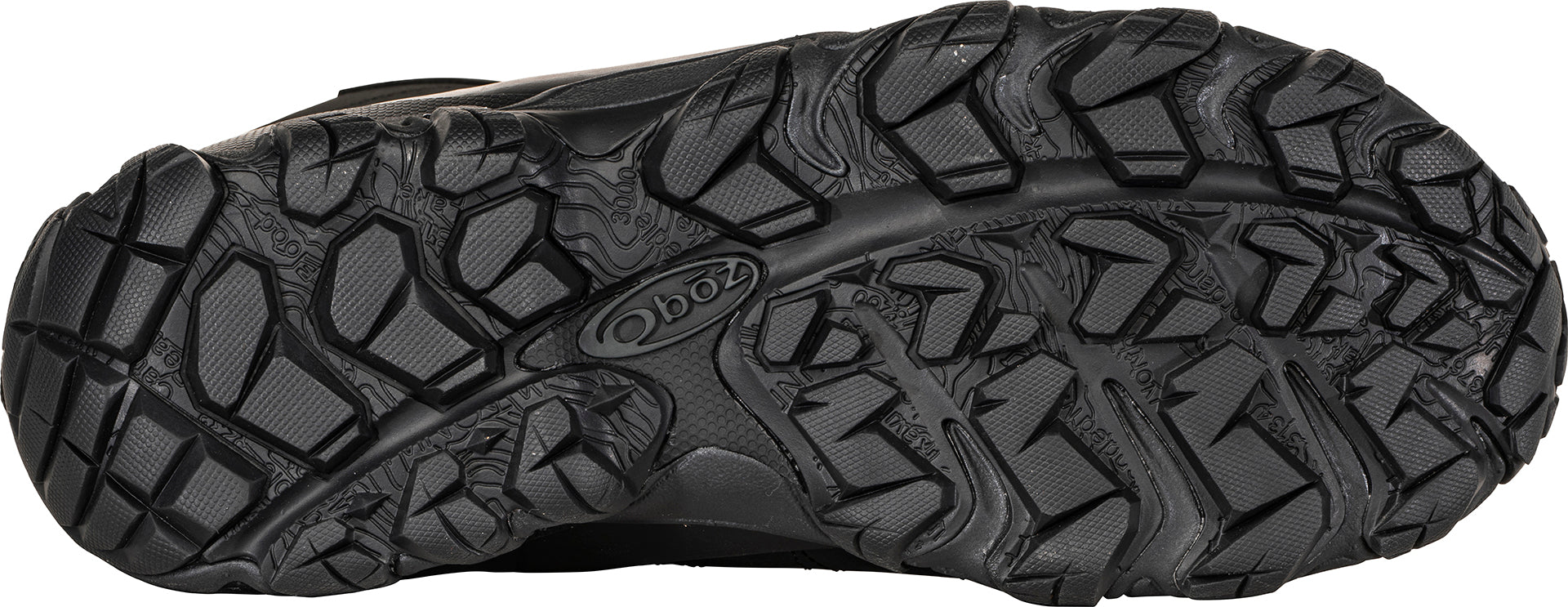 Oboz Bridger 10" Insulated - Mens