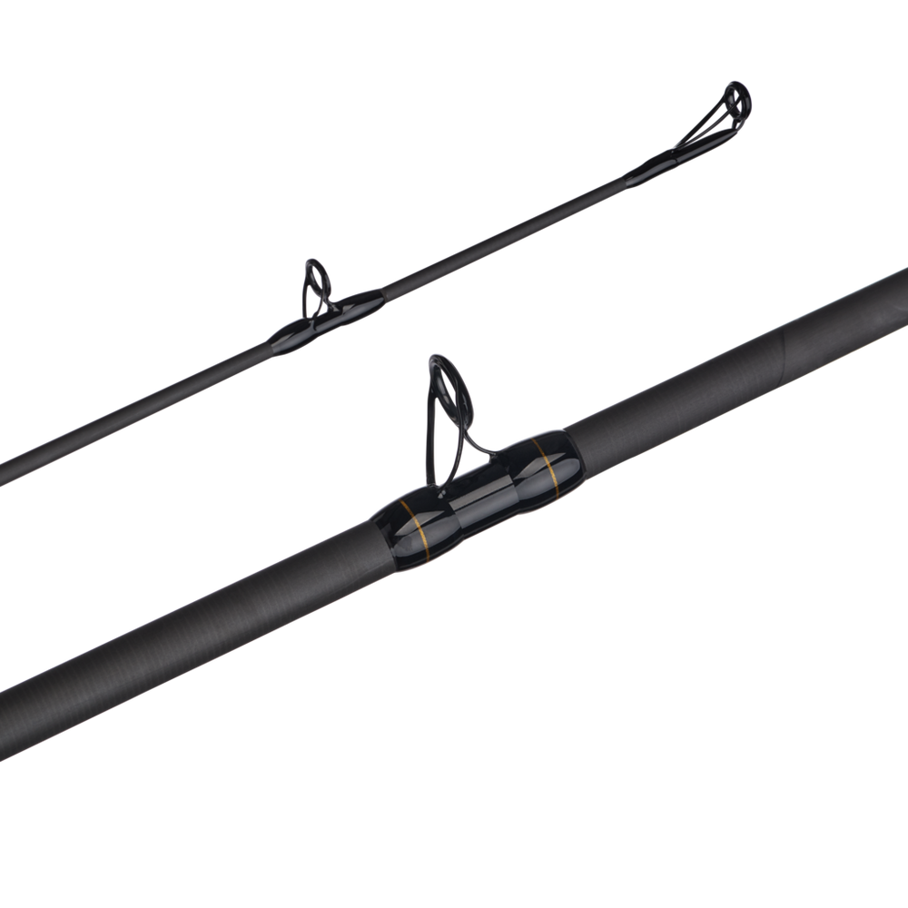 Penn Battalion II Inshore Casting Rod
