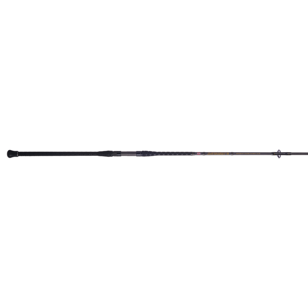 penn battalion fishing rod Penn Battalion II Surf Spinning