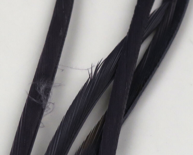 Stripped Goose Biots
