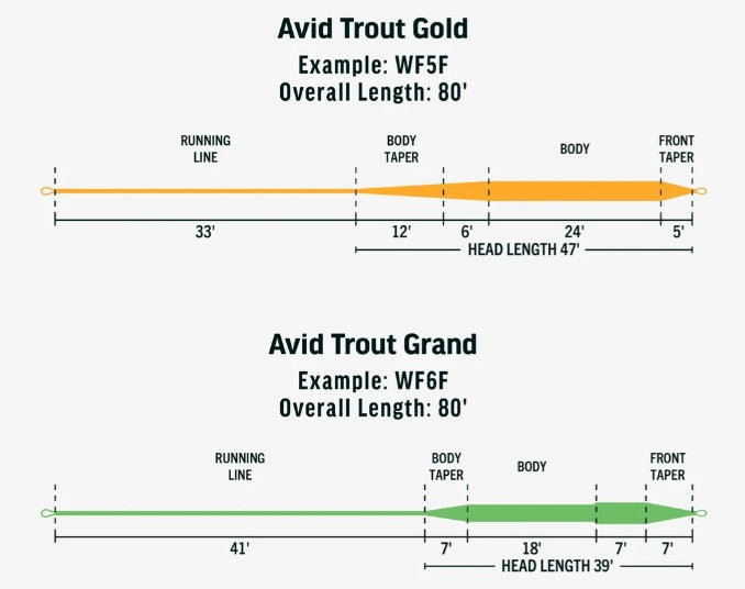 RIO Avid Trout Gold Floating Fly Line