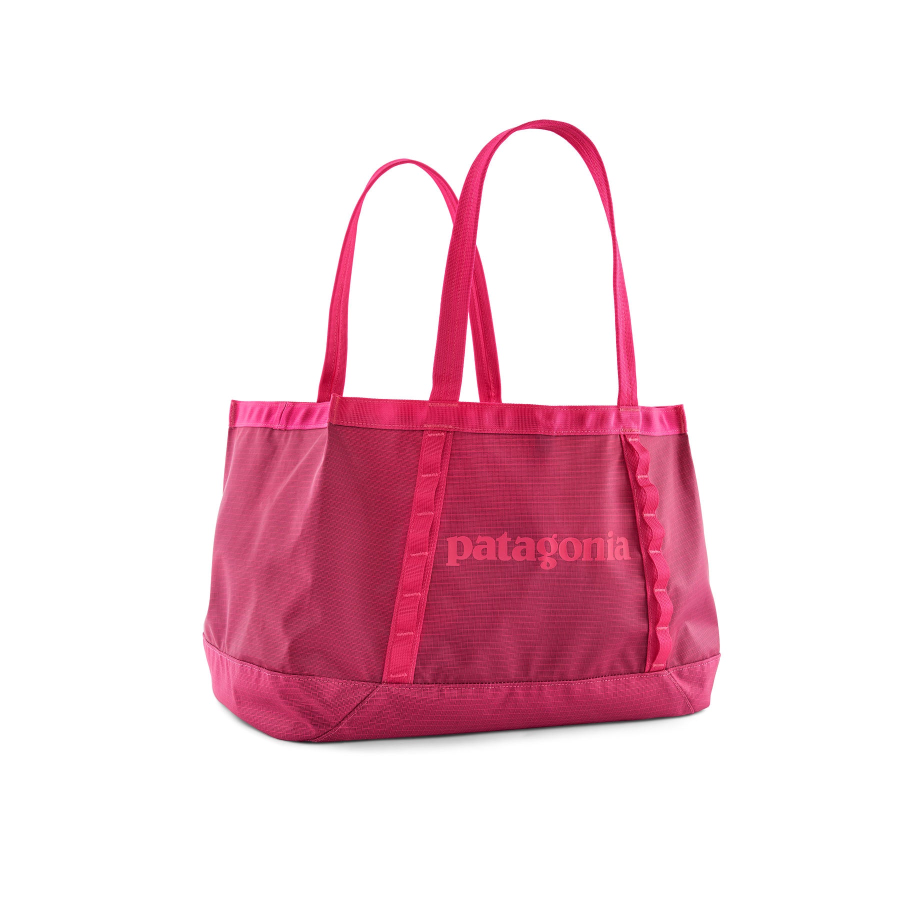Patagonia Black Hole Gear Tote 25L