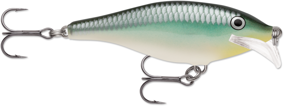 Rapala Scatter Rap Shad