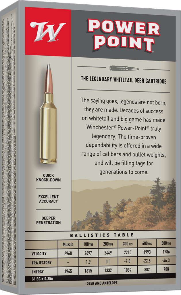 Winchester PowerPoint .243Win / 100Gr