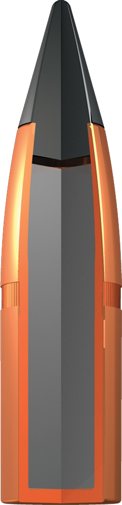 Winchester Deer Season XP .270Win / 130Gr