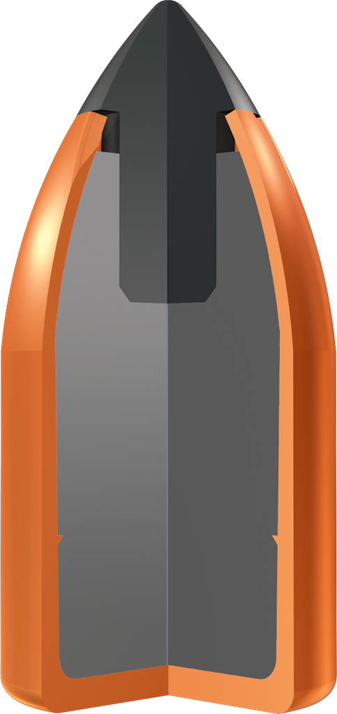 Winchester Deer Season XP .450 Bushmaster / 250Gr