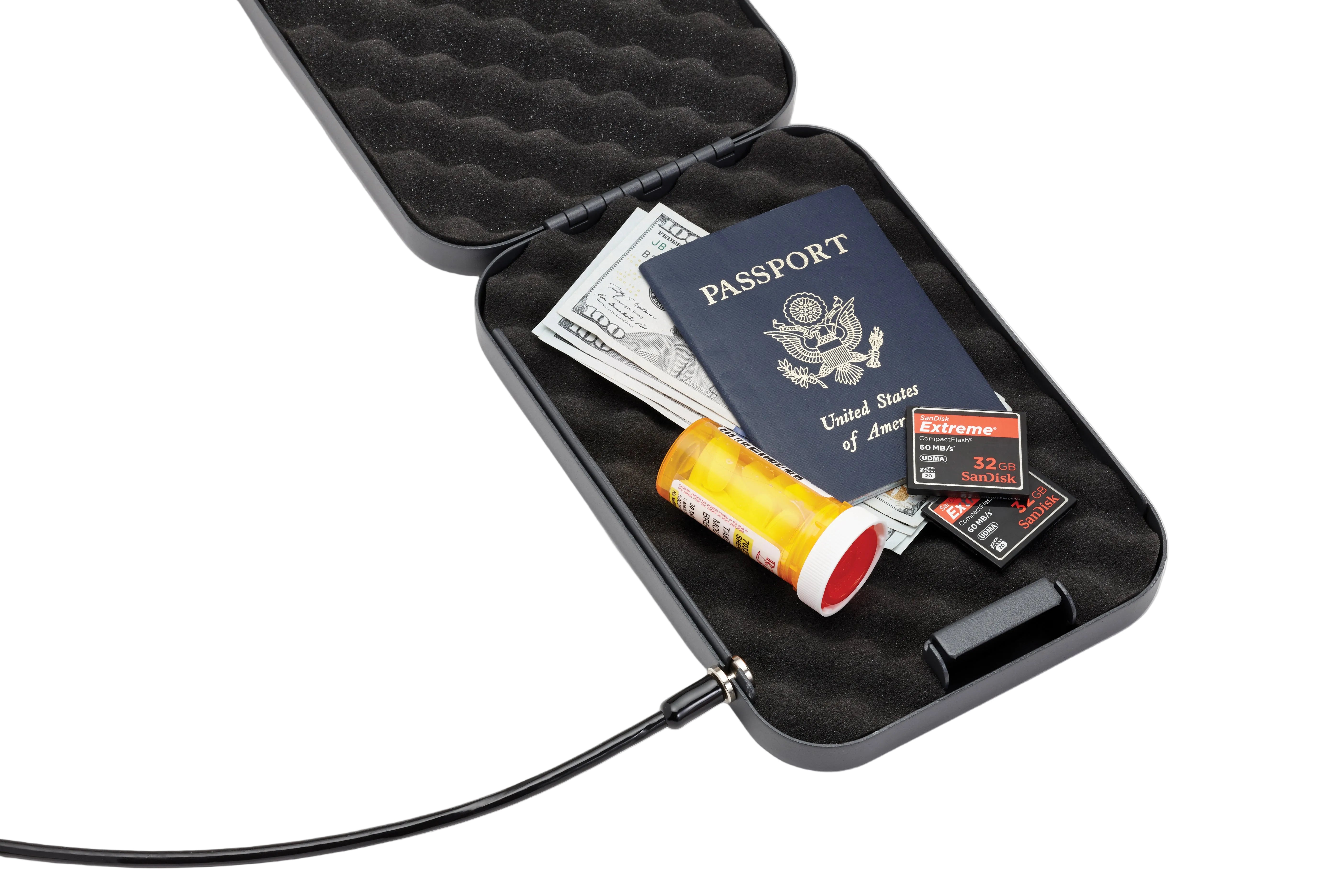 Hornady Lock Box - Large