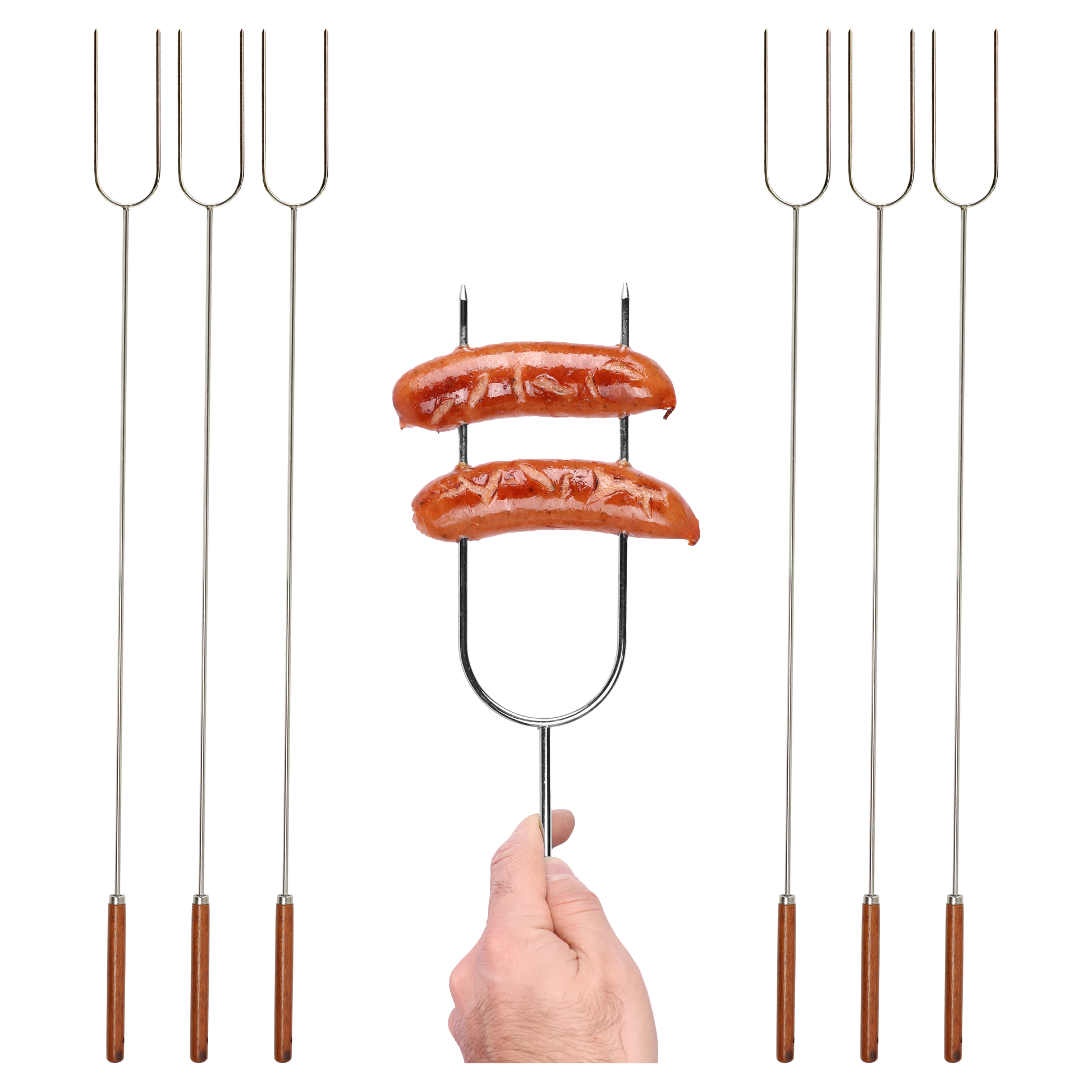 Coghlan's Camp Fork