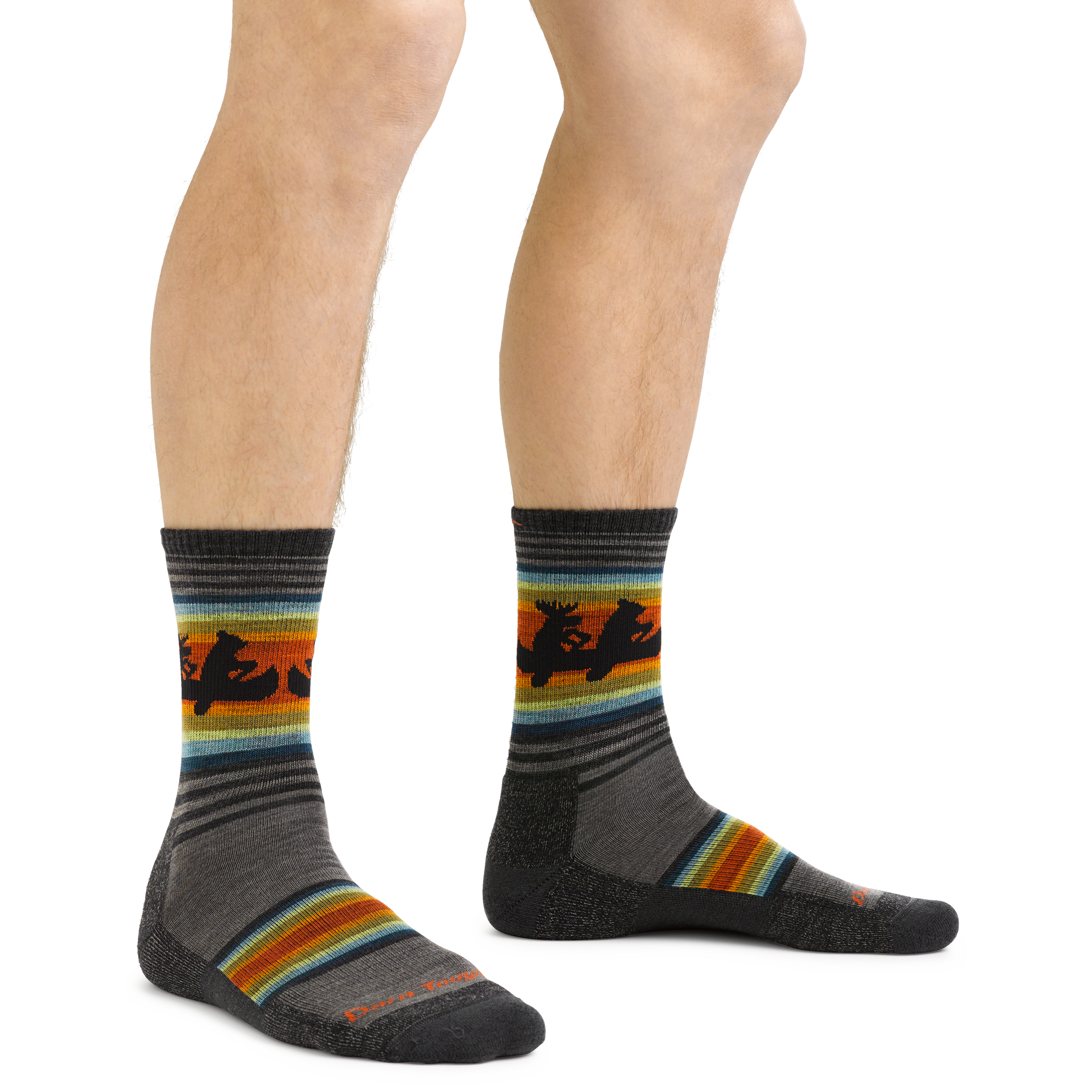 Darn Tough Willoughby Micro Crew Lightweight Cushion Socks - Mens