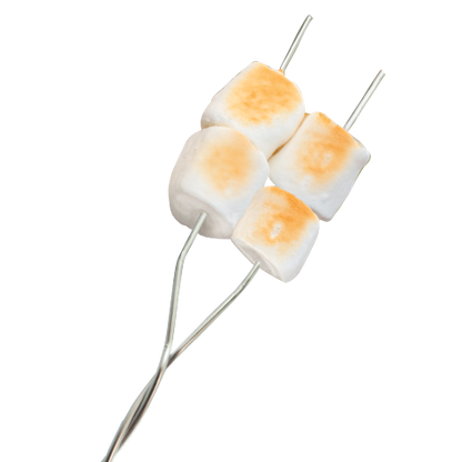 Coghlan's Toaster Forks - 4 Pack
