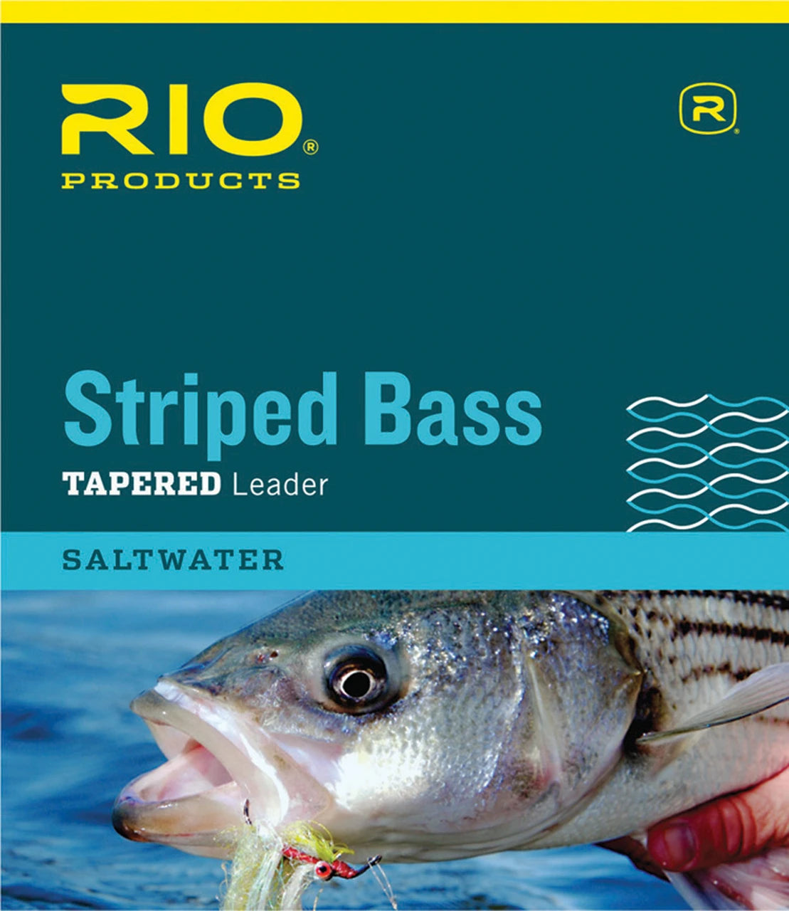 Rio Striped Bass Knotless 7" Leader