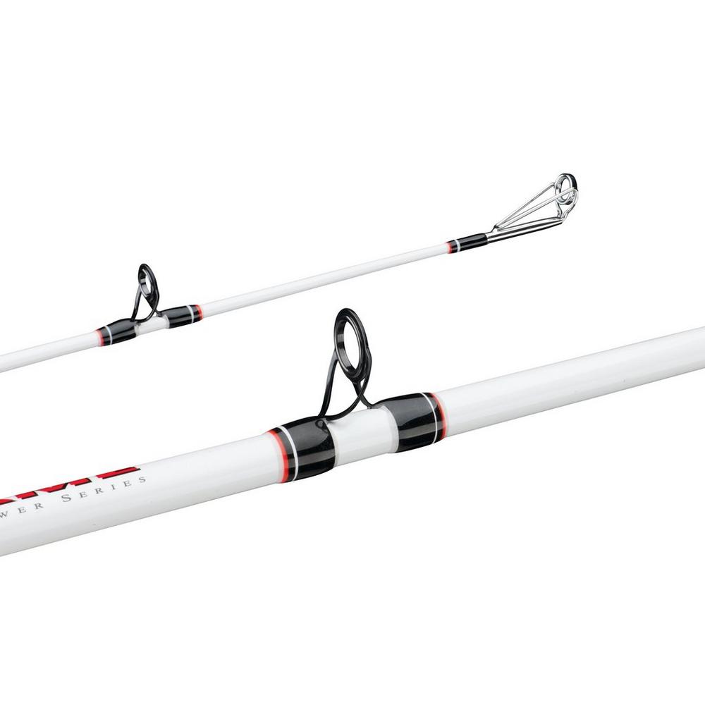 Berkley Big Game Casting Rod