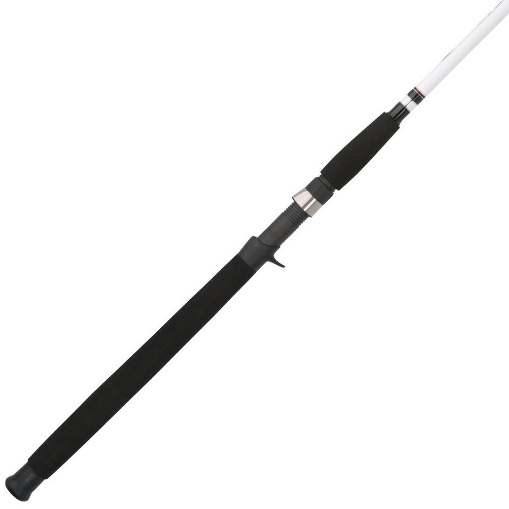 Berkley Big Game Casting Rod