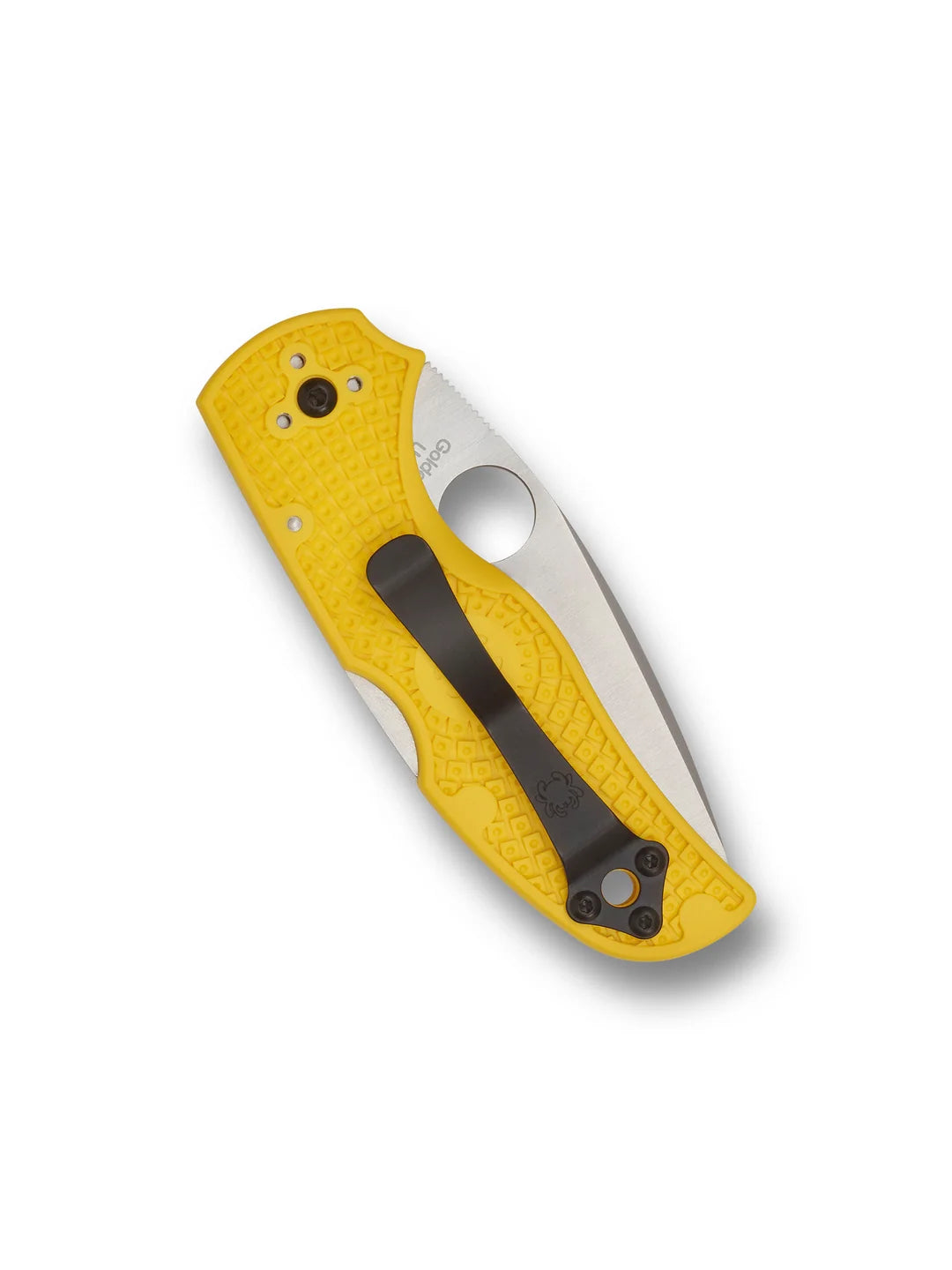 Spyderco Native 5 Salt Lockback Knife