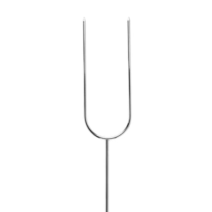 Coghlan's Camp Fork
