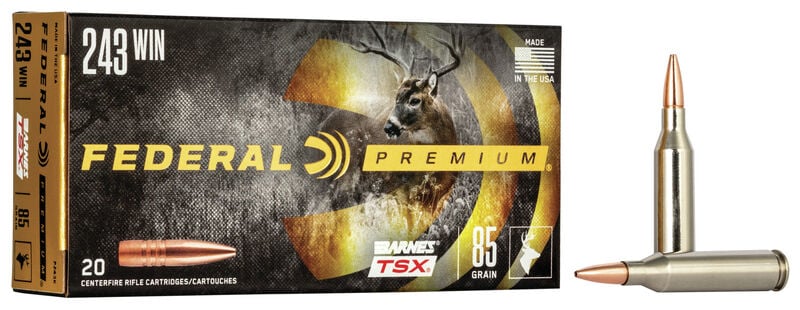 Federal Barnes TSX .243Win / 85Gr