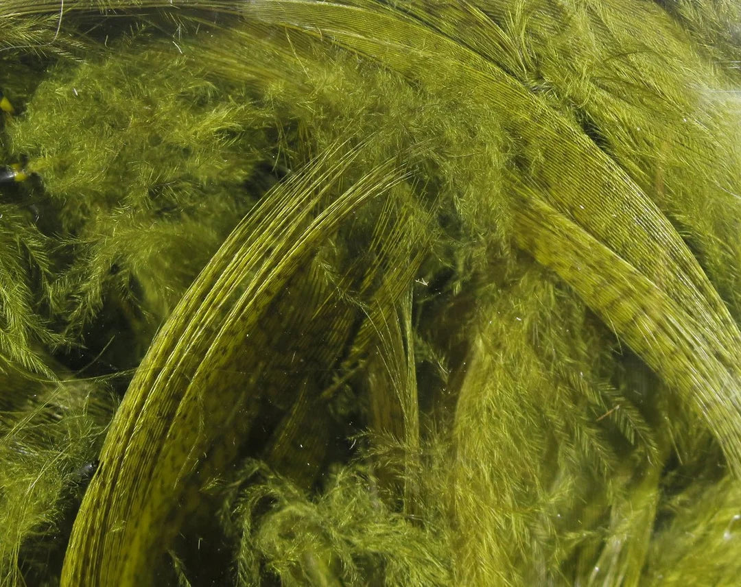 Hareline Mallard Flank Feather