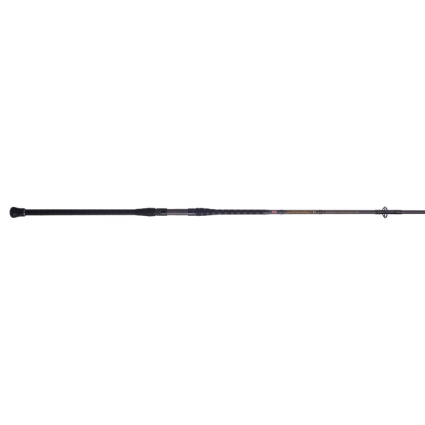 penn battalion ii surf spinning fishing rod Penn Battalion II Surf Spinning