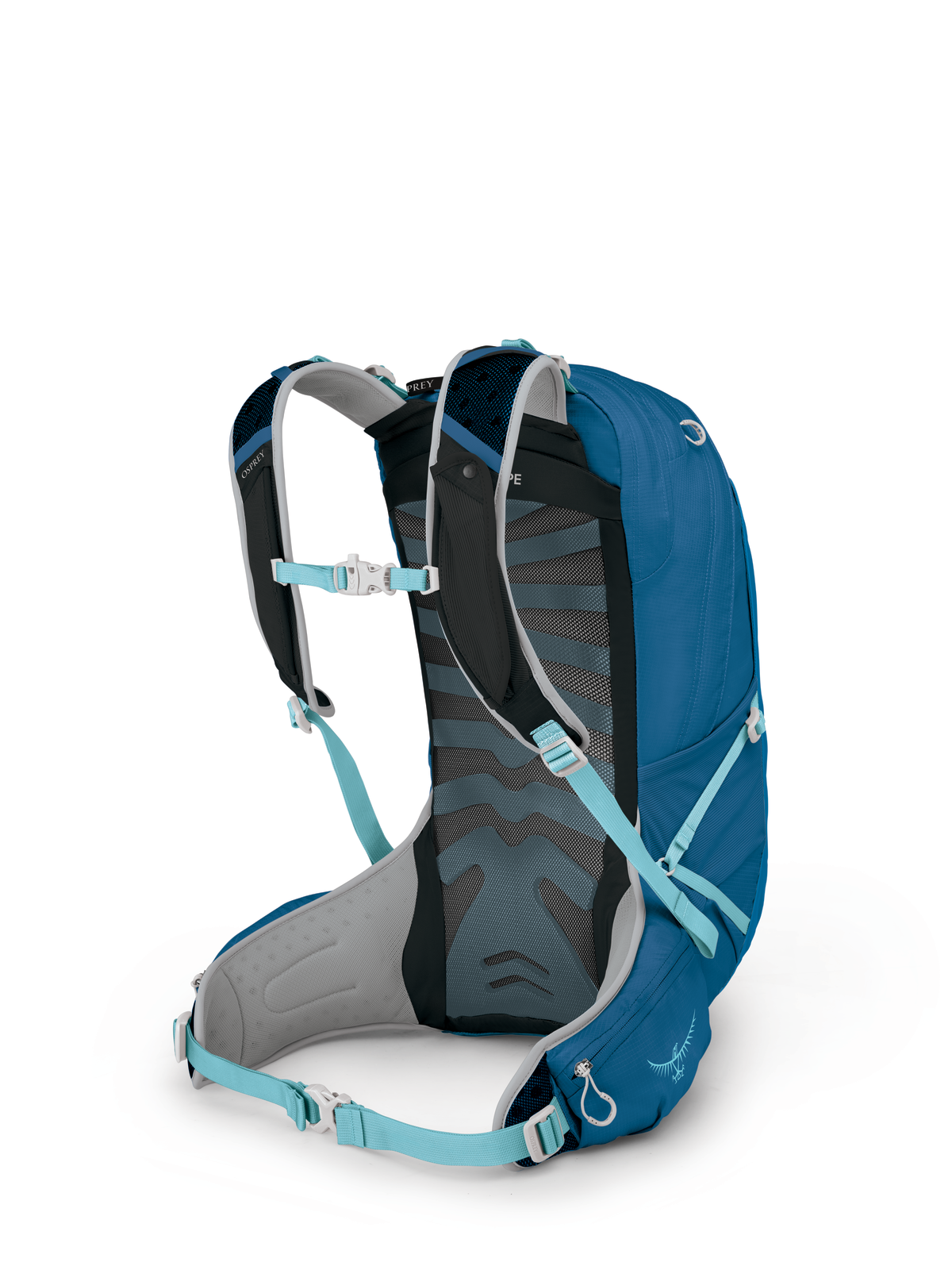 Osprey Talon Earth 22 Backpack - Main Image