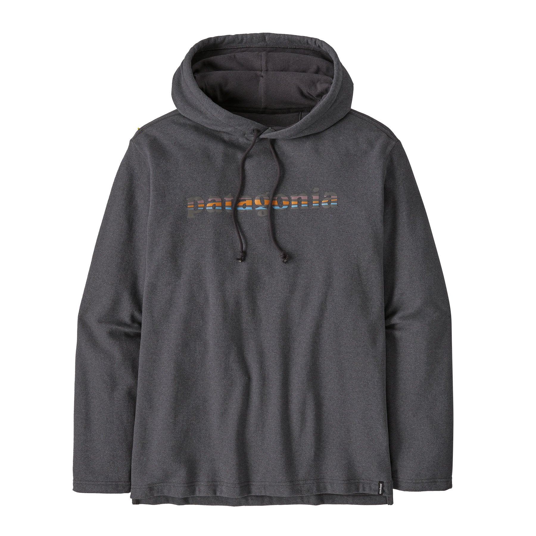 Patagonia Lightweight '73 Text Logo Wildrise Hoody- Mens