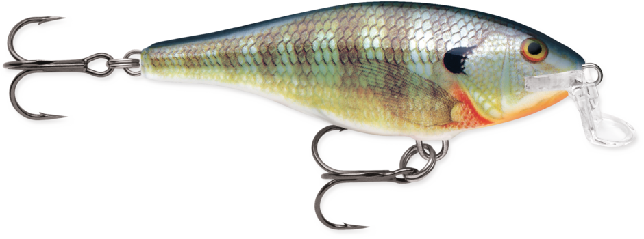 Rapala Shallow Shad Rap