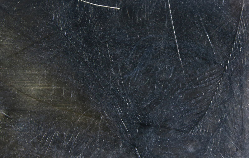 C.D.C. Cul-De-Canard Feathers