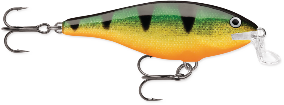 Rapala Shallow Shad Rap