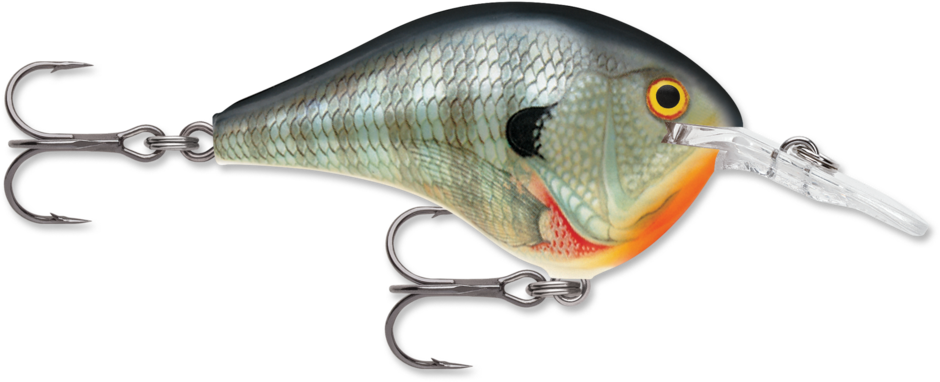 Rapala DT (Dives-To)