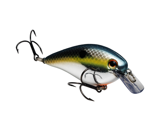 Strike King KVD Squarebill 1.0 Crankbait