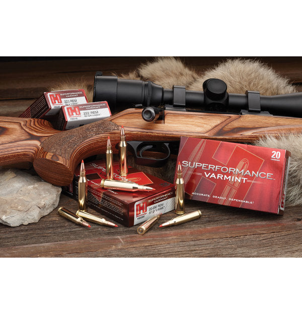 Hornady V-Max Superformance .243 Win / 75Gr