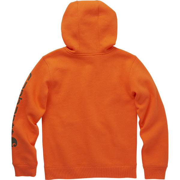 Carhartt Long Sleeve Graphic Sleeve Logo Sweatshirt - Boys