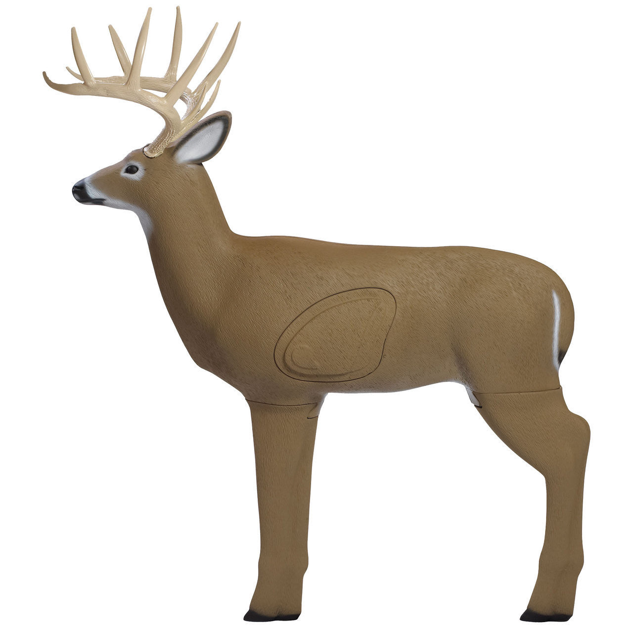 Shooter Buck 3D Target