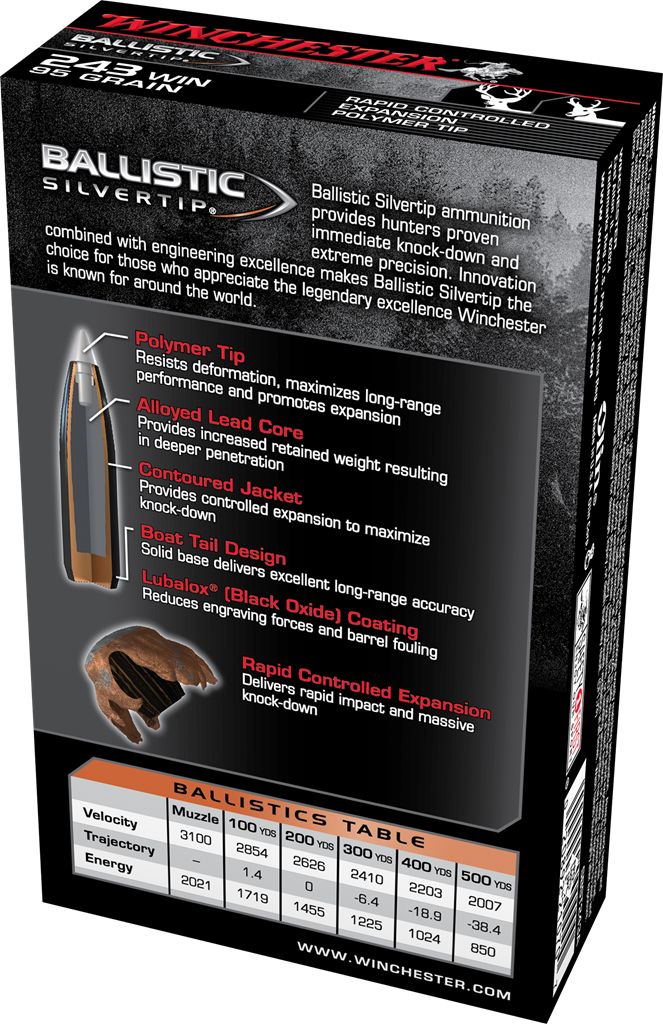 Winchester Ballistic Silvertip .243Win / 95gr