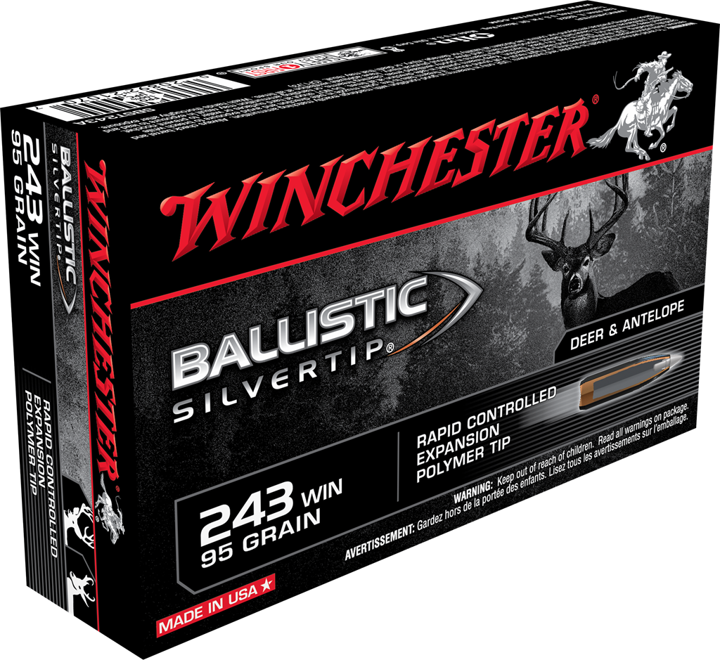 Winchester Ballistic Silvertip .243Win / 95gr